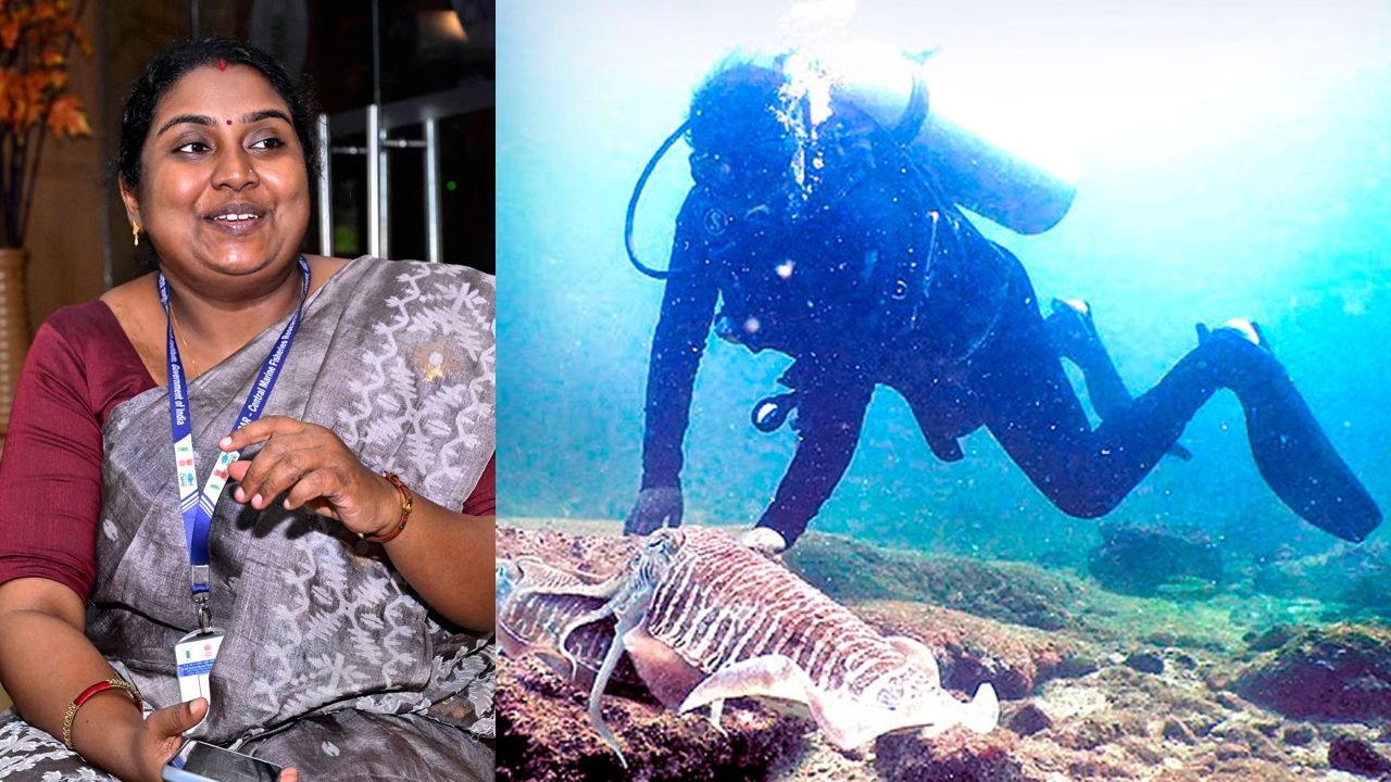 divya viswambharan