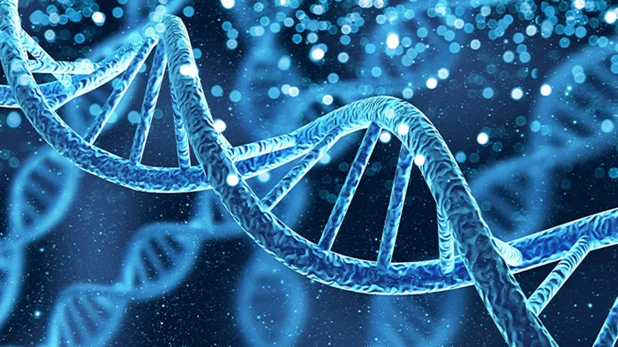 dna