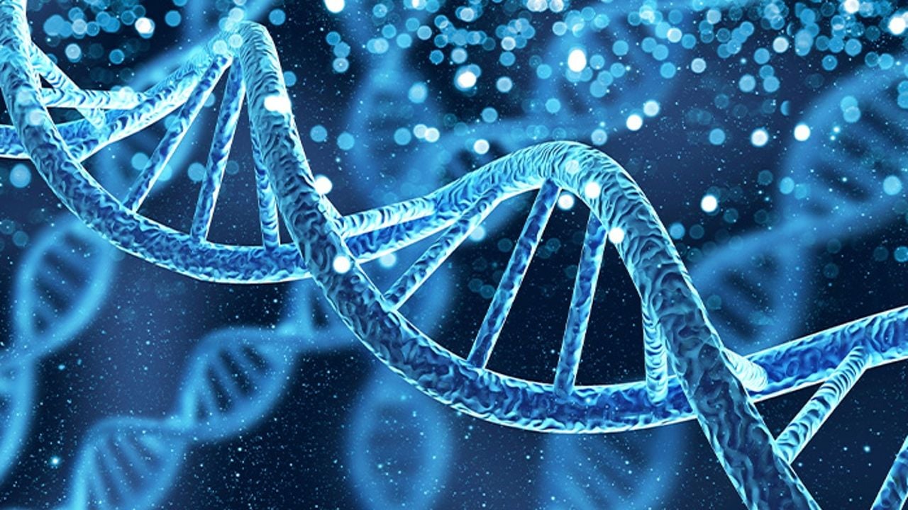 dna