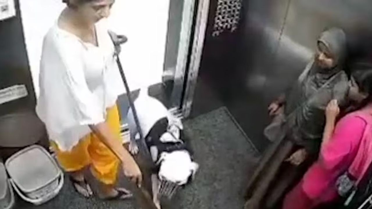 dog attack in lift