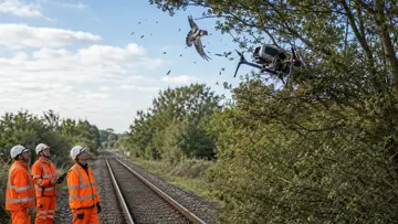 drone hit by bird