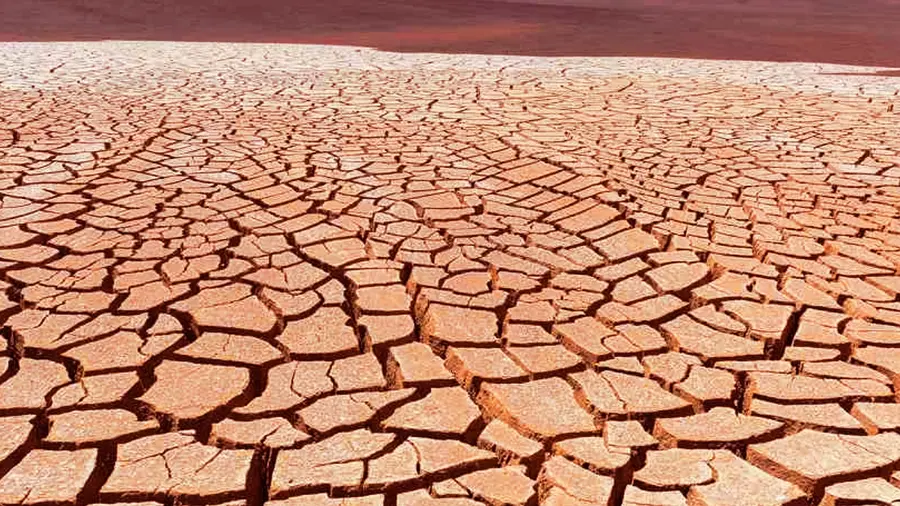 drought