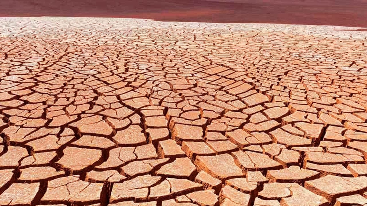 drought