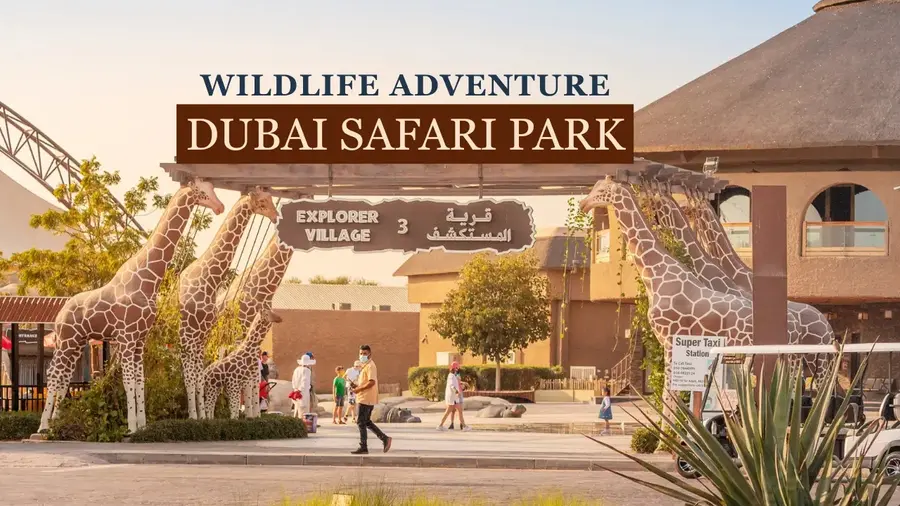 dubai safari park
