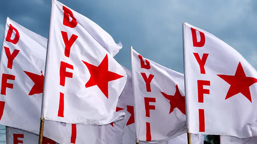 dyfi flag