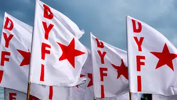 dyfi flag
