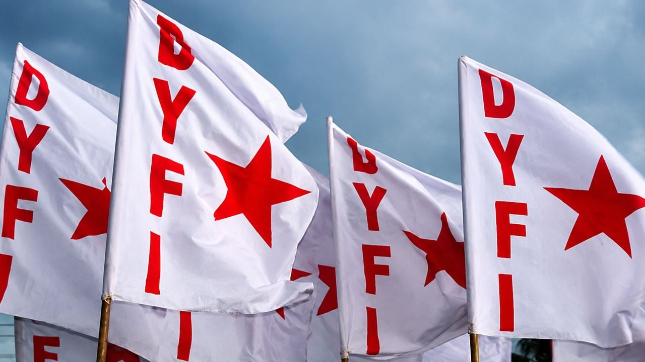 dyfi flag