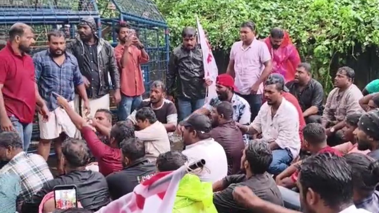 dyfi march to ol home.png