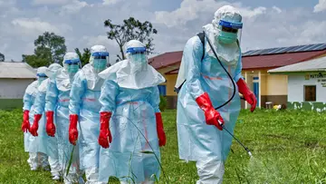 Ebola 