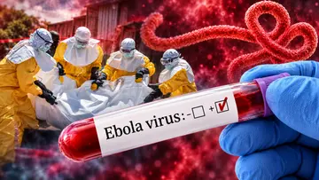 ebola image