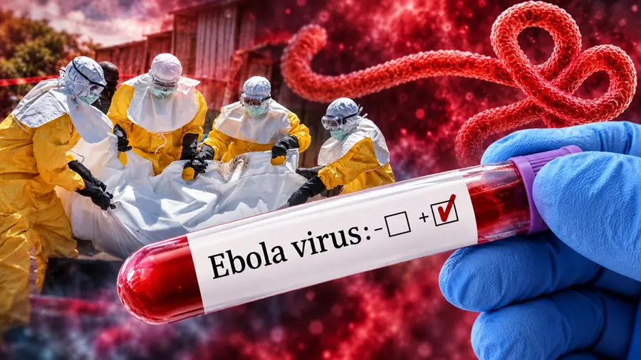 ebola image