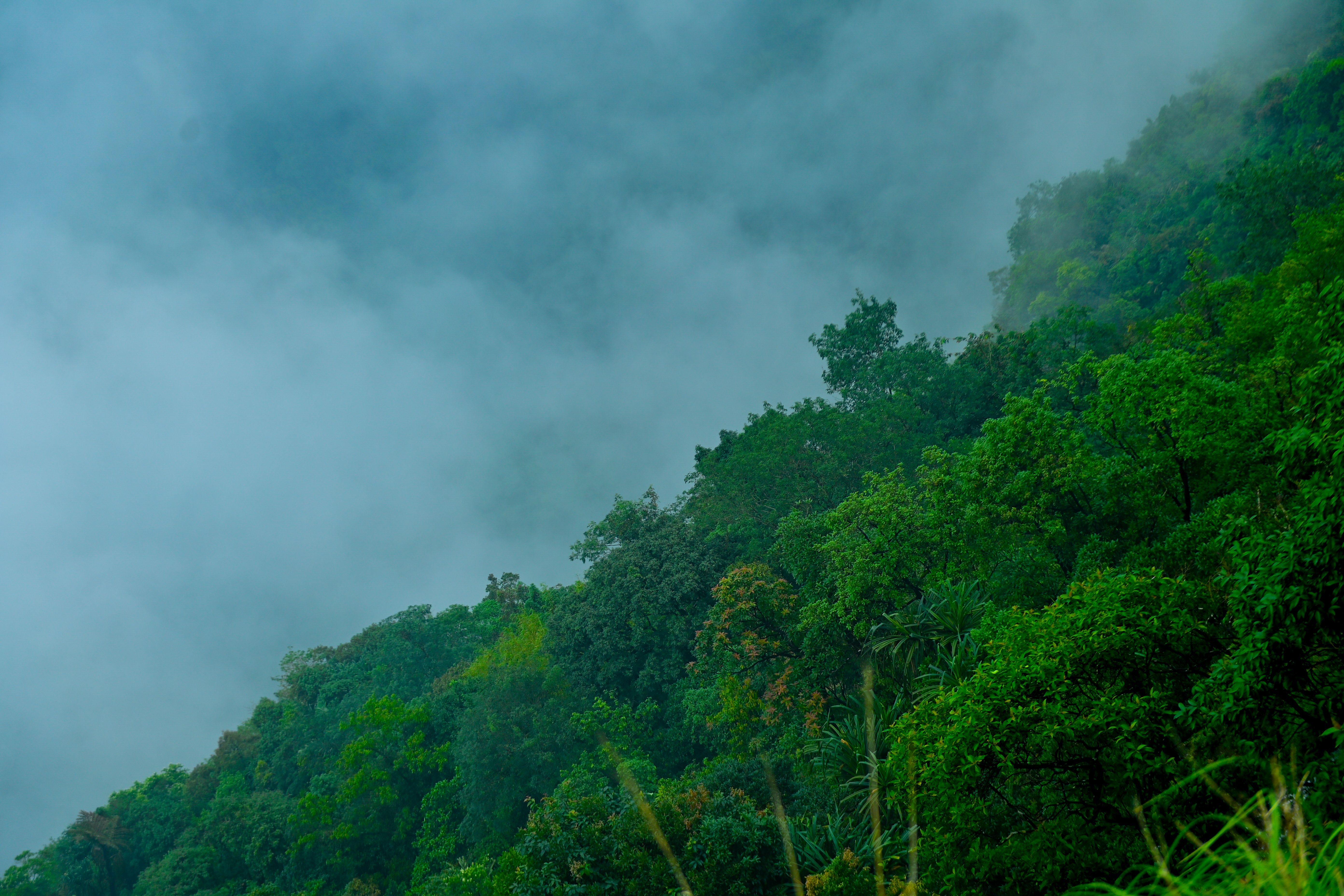 ecco park chirapunji (2).jpeg