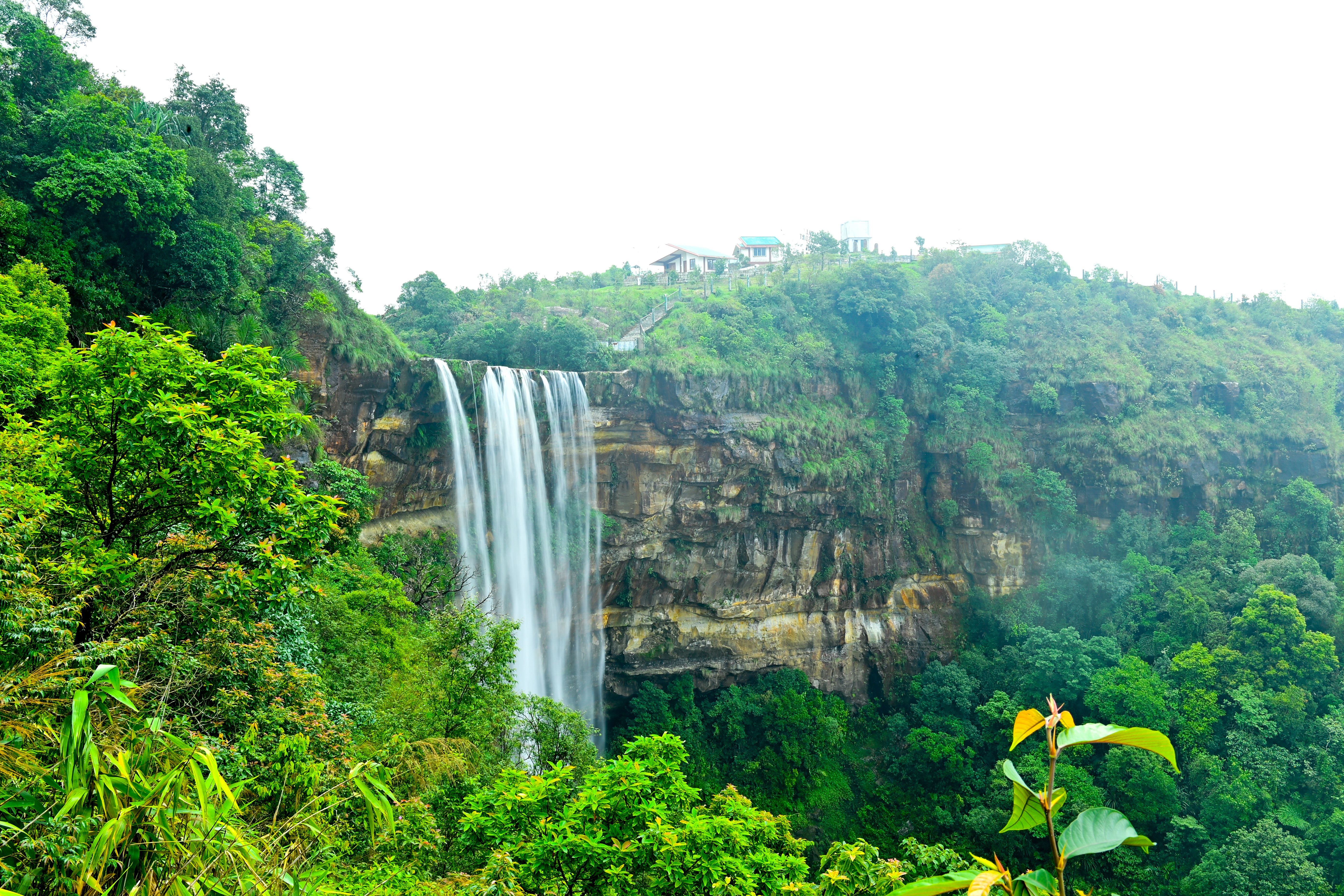 ecco park chirapunji (7).jpeg