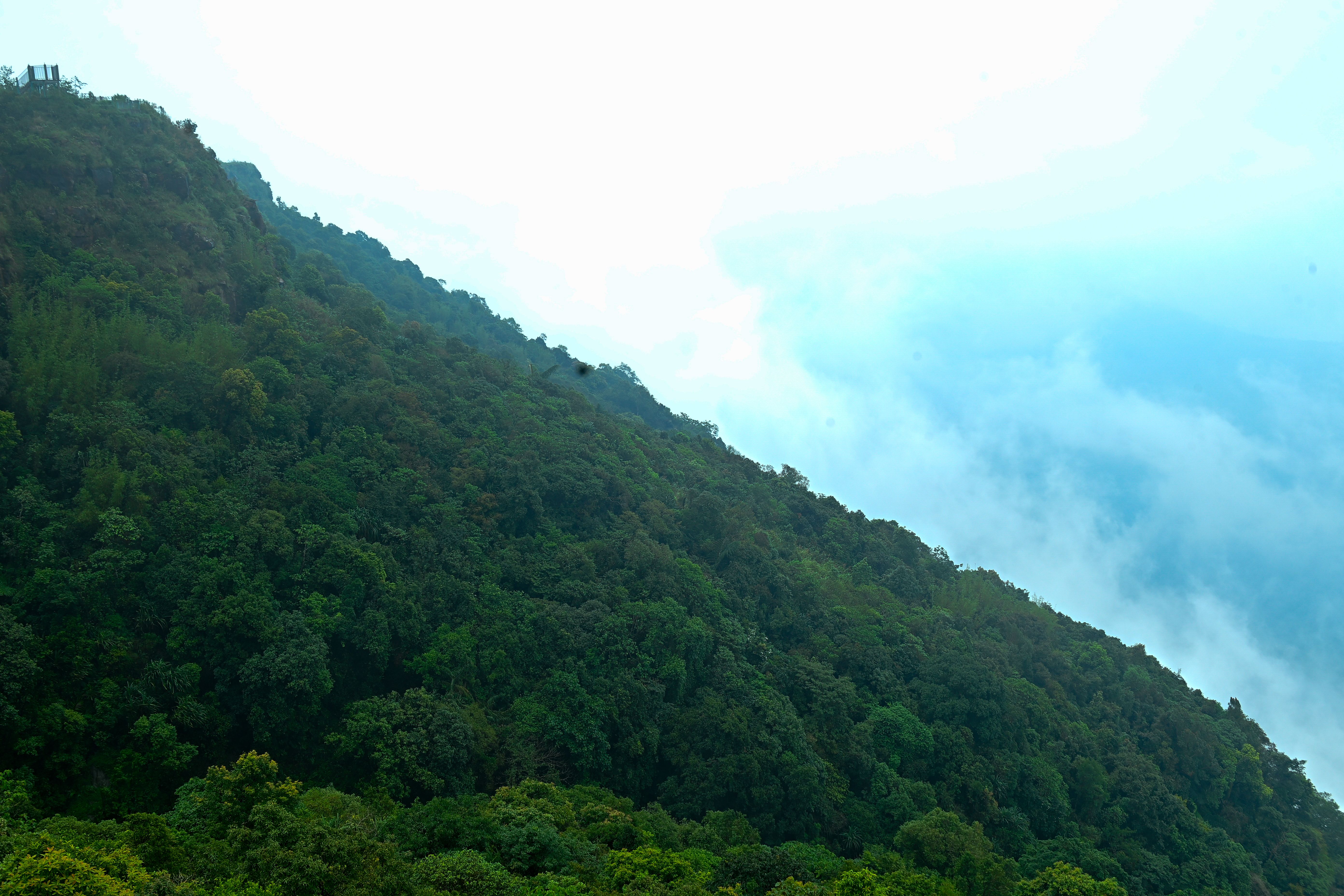 ecco park chirapunji (9).jpeg
