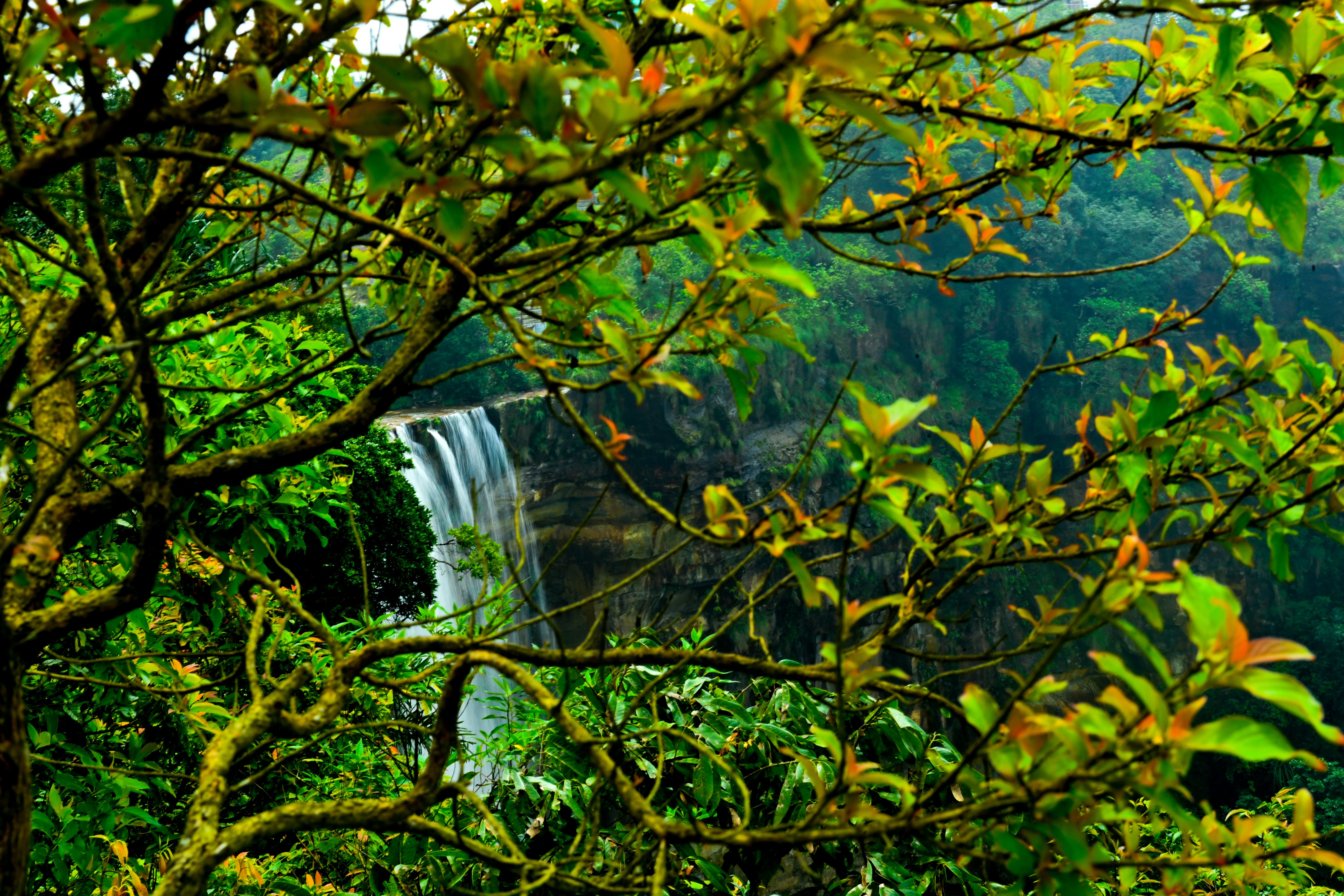 ecco park view point chirapunji (2).jpeg