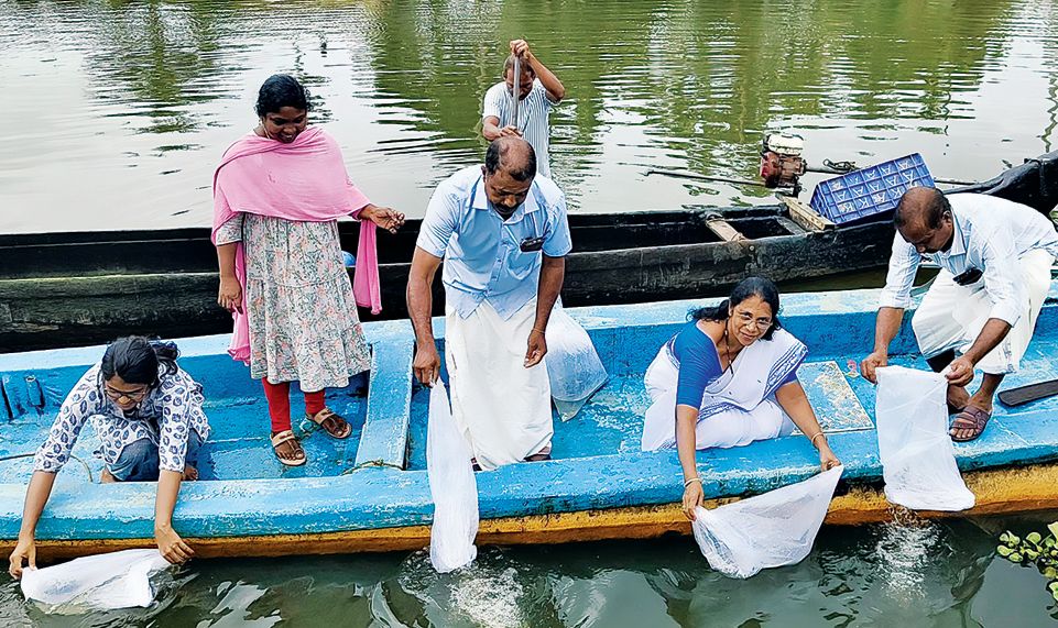 മത്സ്യക്കുഞ്ഞുങ്ങളെ നിക്ഷേപിച്ചു