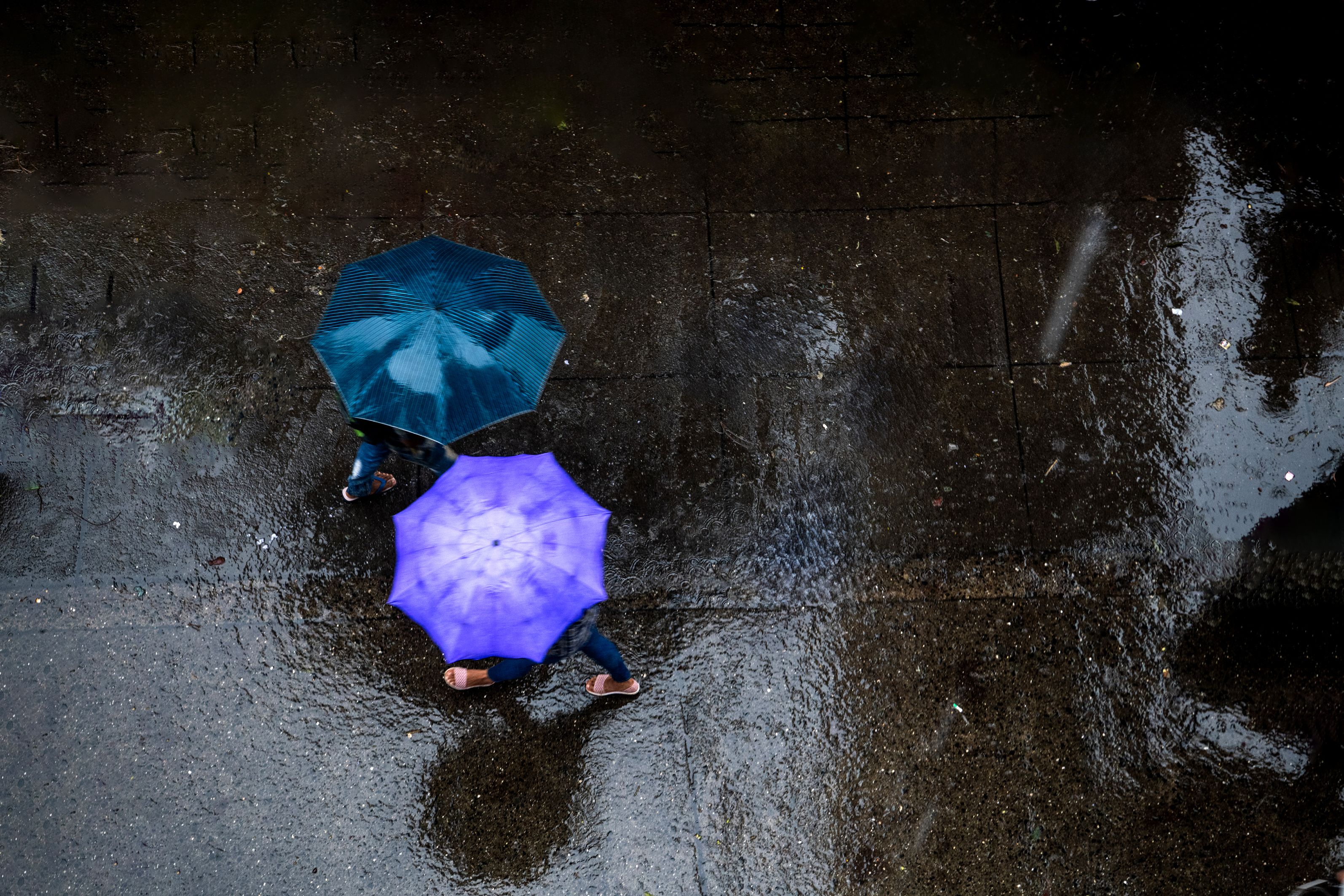 ഫോട്ടോ: ബിജു ഇബ്രാഹിം