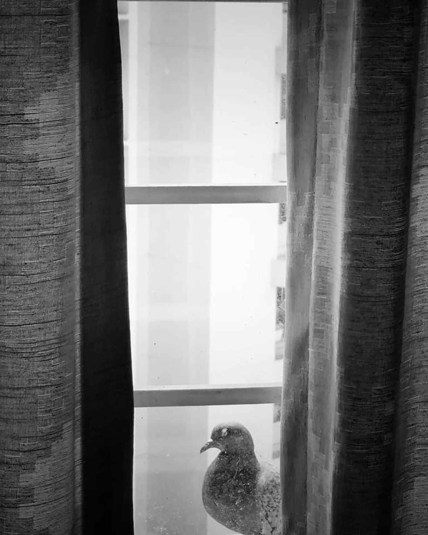 ഫോട്ടോ: ബിജു ഇബ്രാഹിം