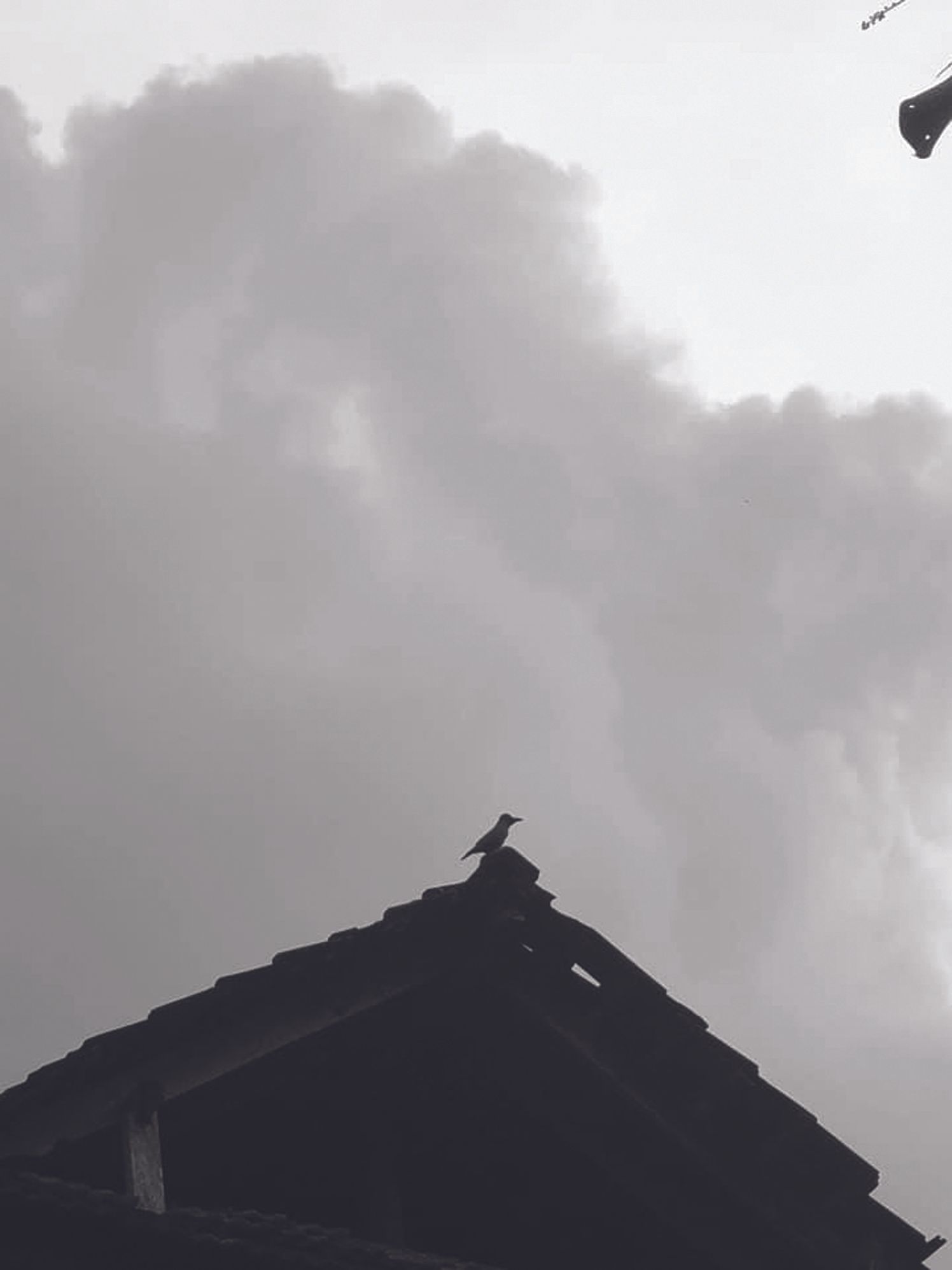 ഫോട്ടോ: ബിജു ഇബ്രാഹിം