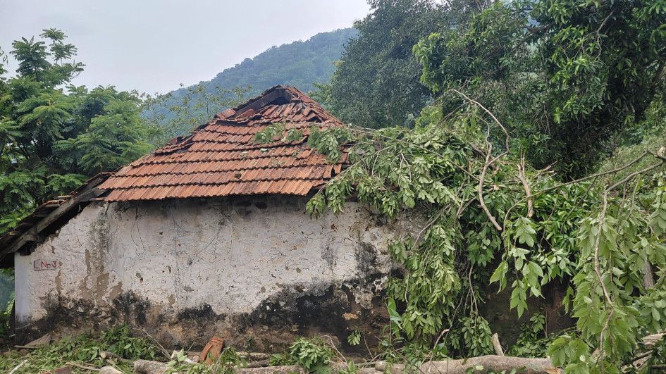 elappara