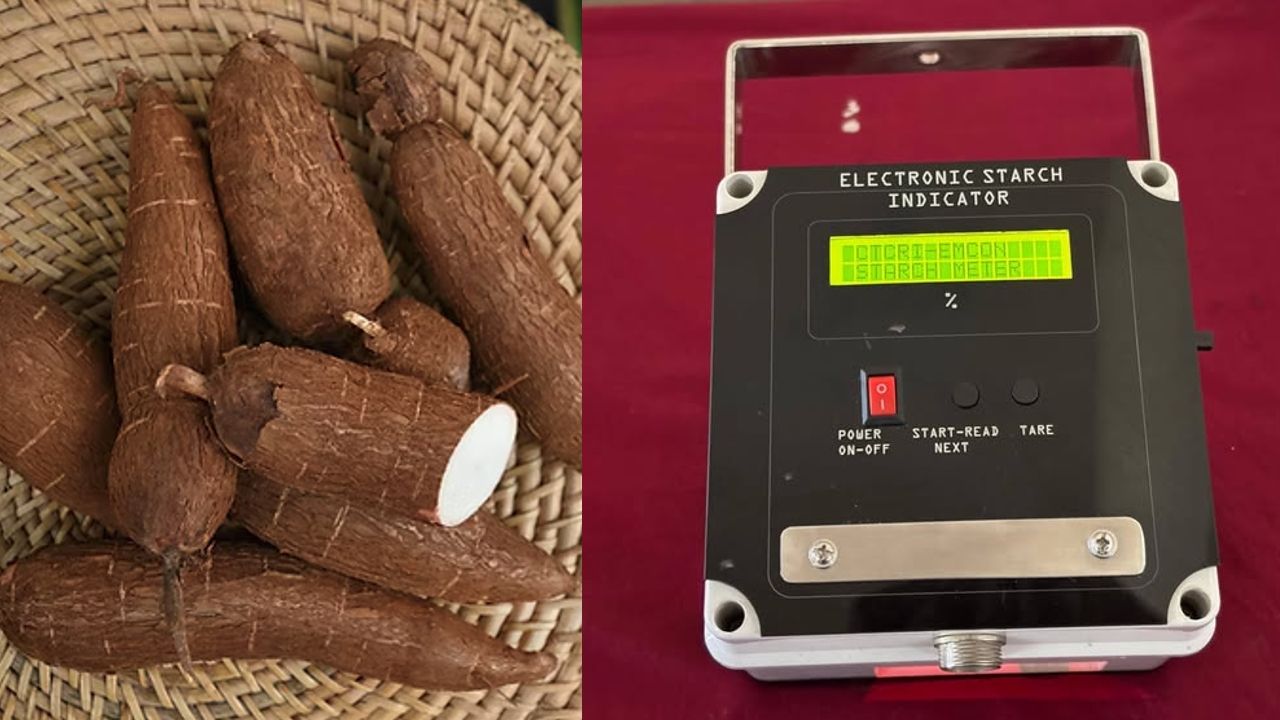 electronic starch meter