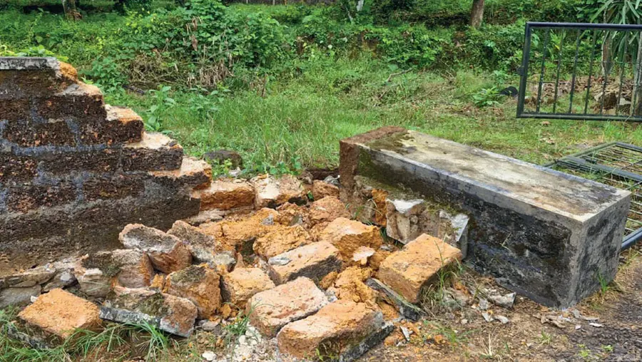 Wild Elephant Attack