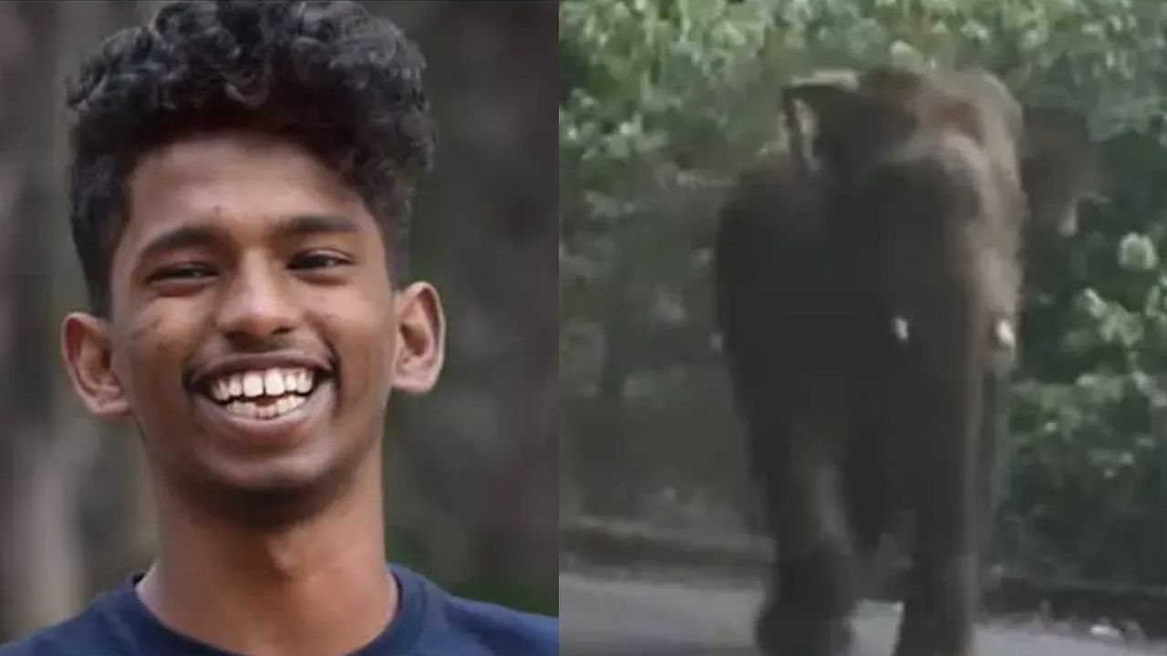 Alan, elephant attack