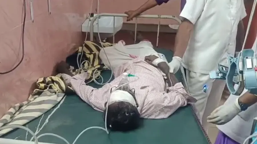 elephant attack one injured