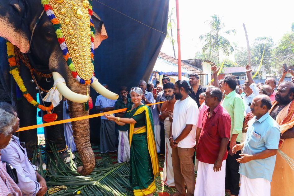 elephant