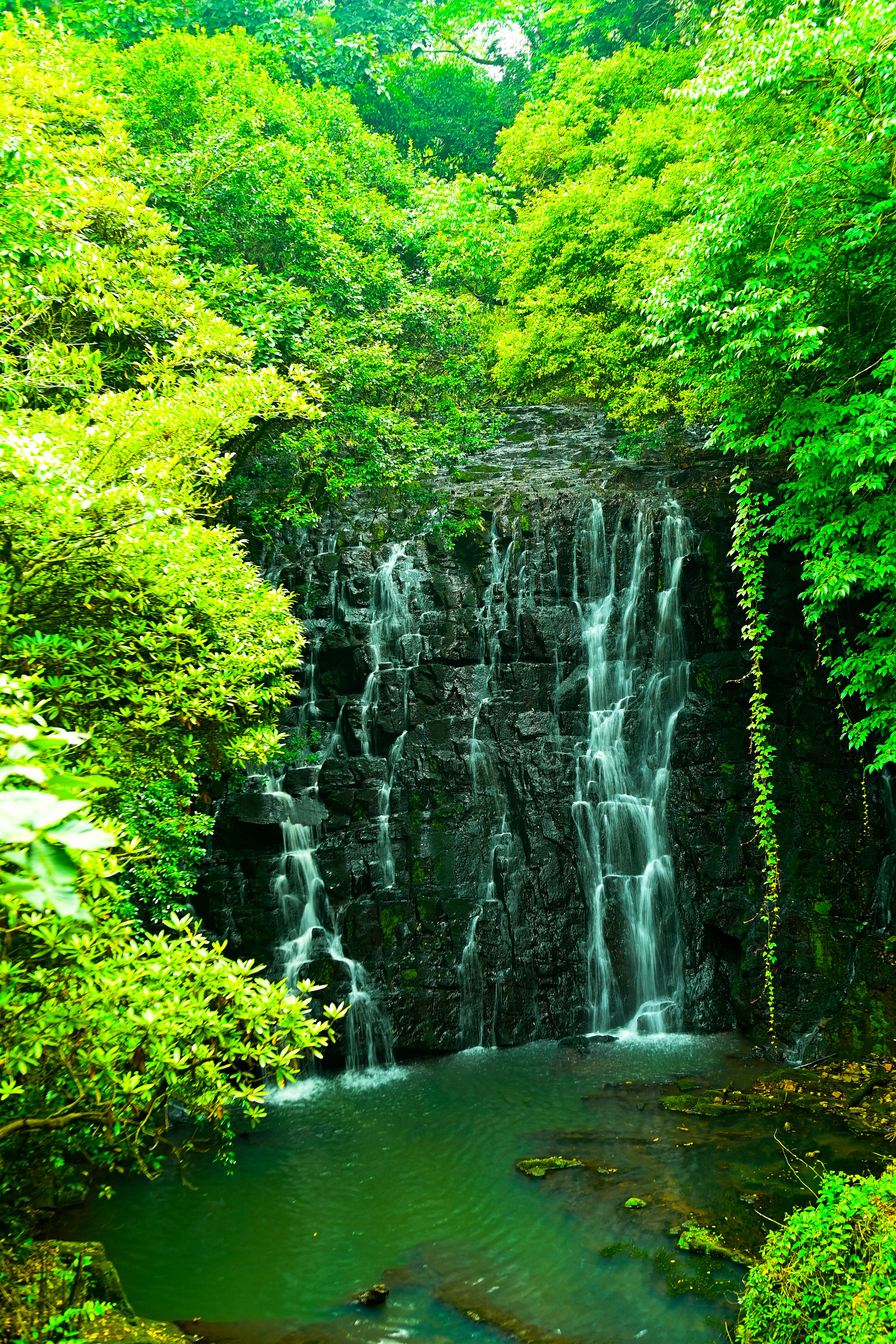 elephant water falls .jpeg