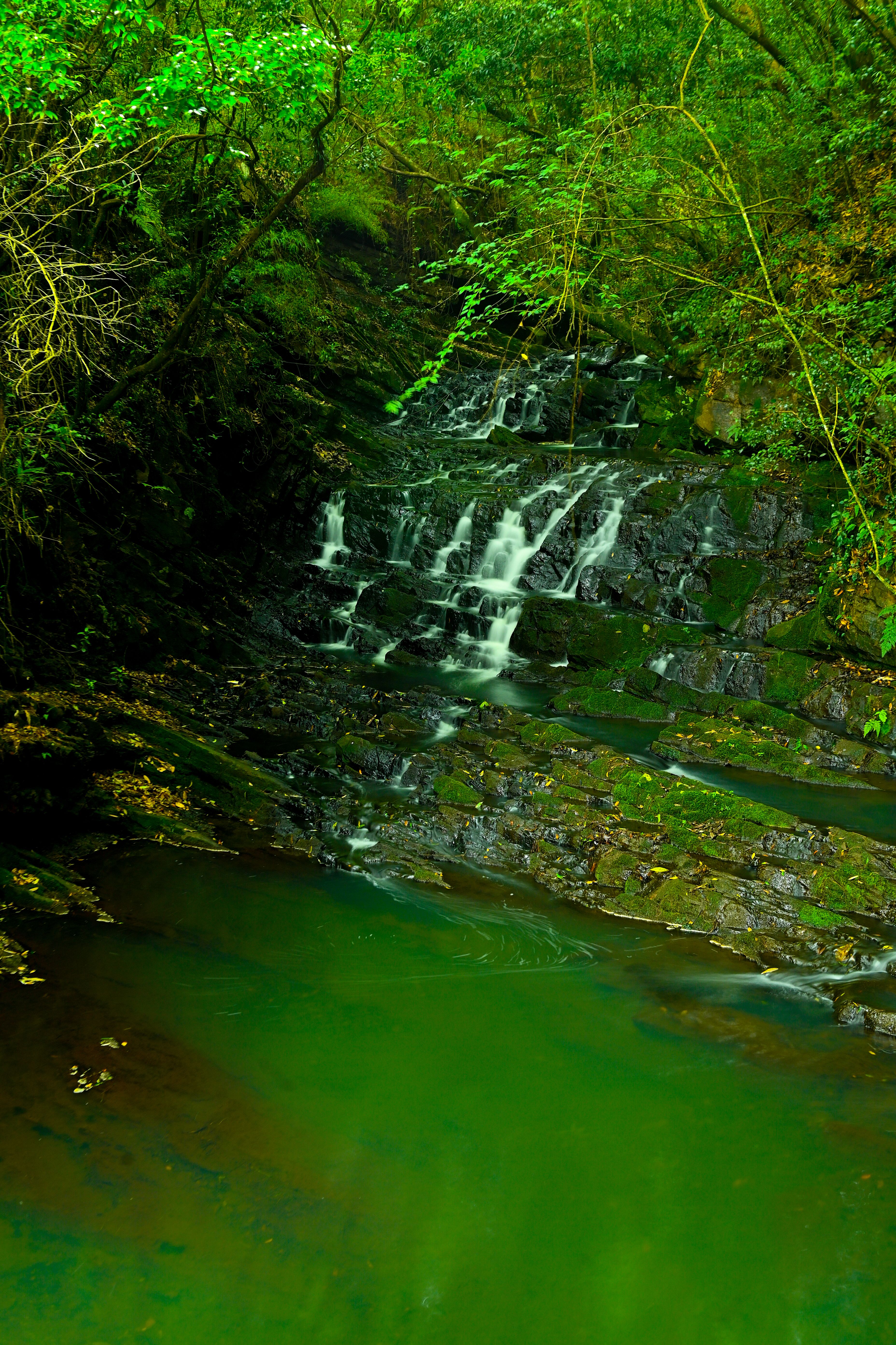 elephant water falls1.jpeg