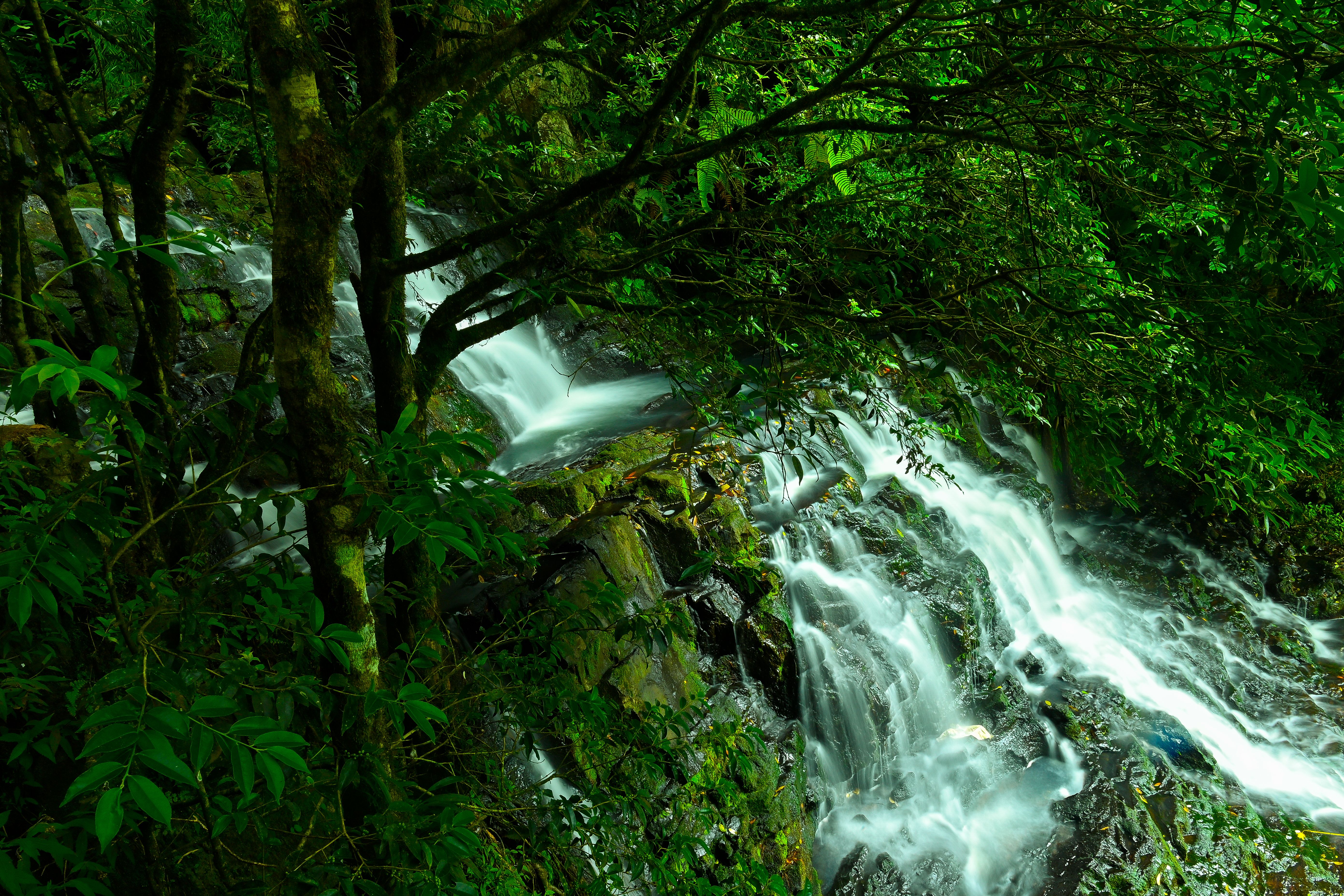 elephant water falls3.jpeg