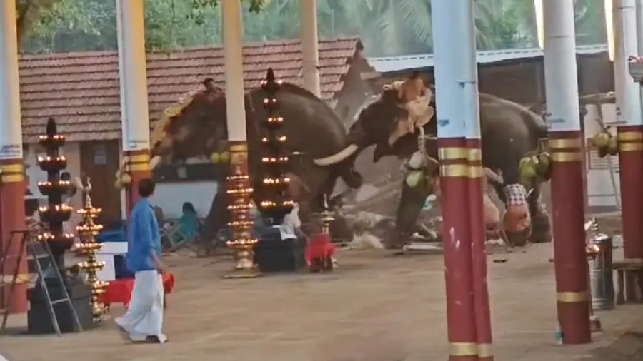 koyilandi elephant