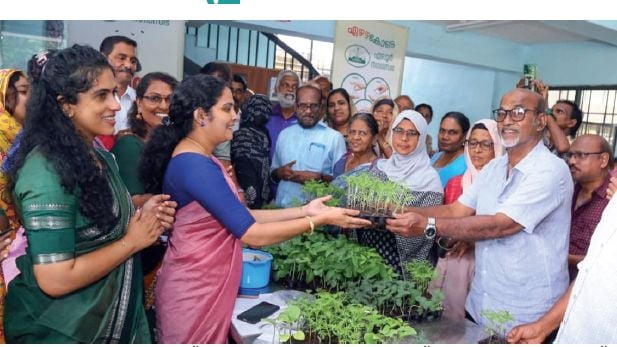 Niravu Ecoshop