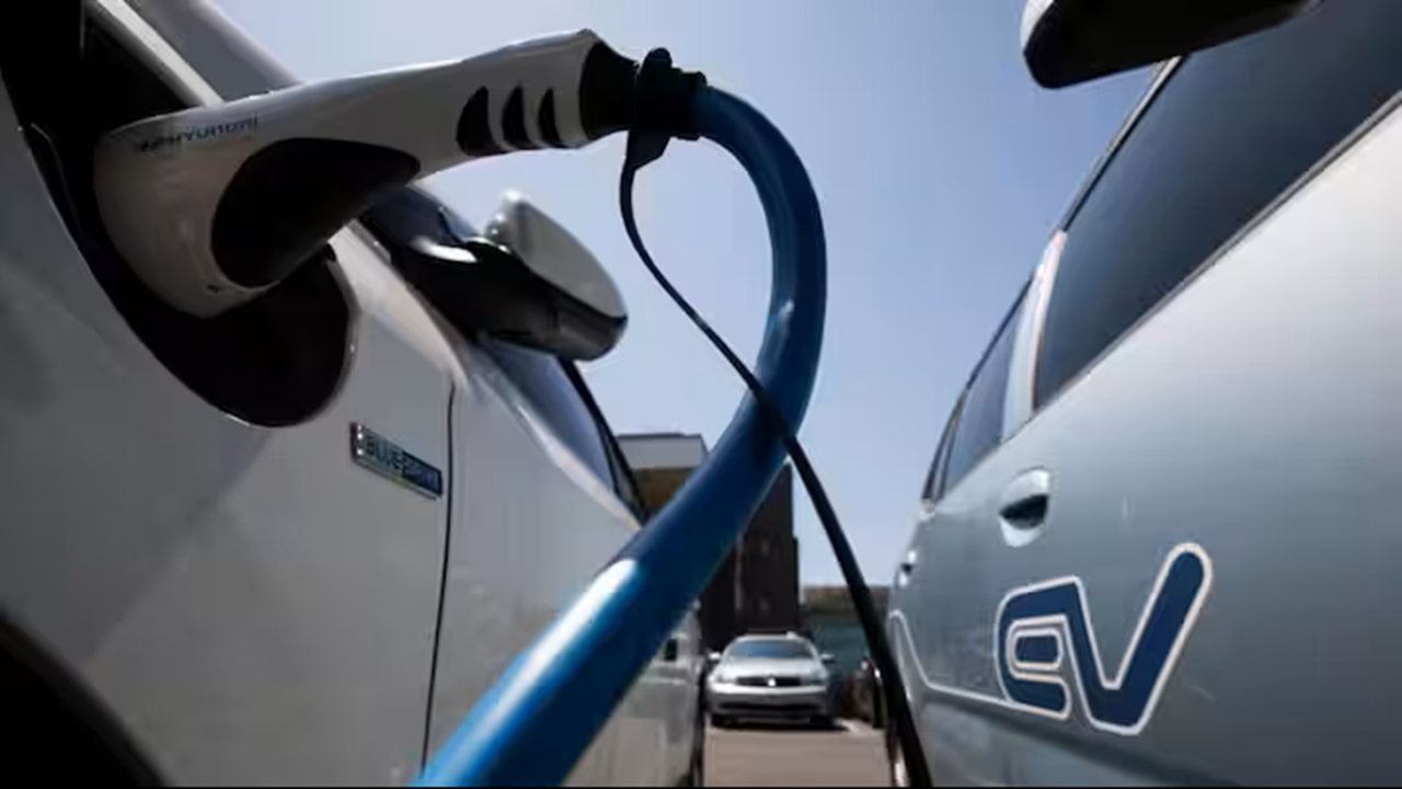 evb