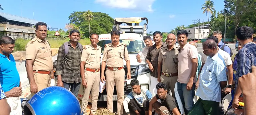 കഞ്ചാവ്