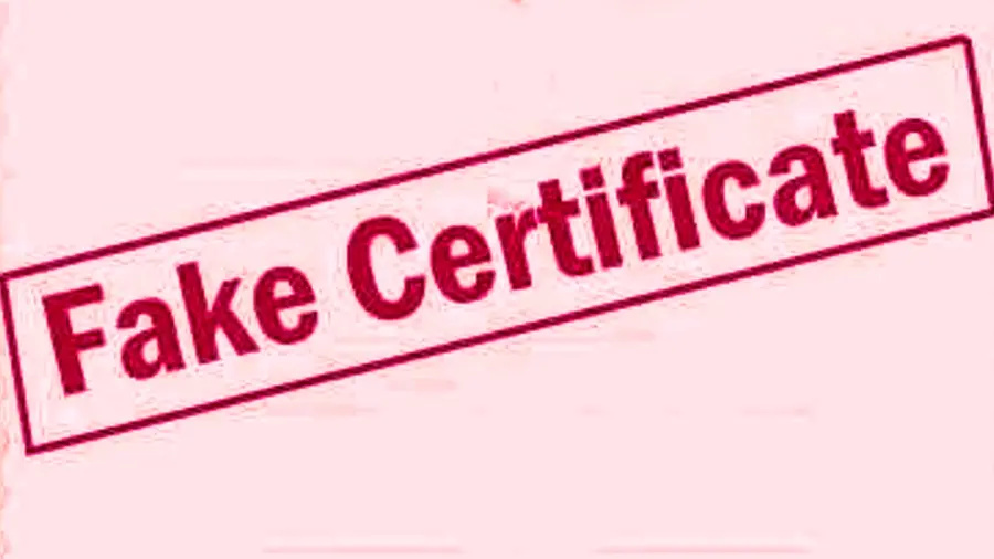 fake certificate
