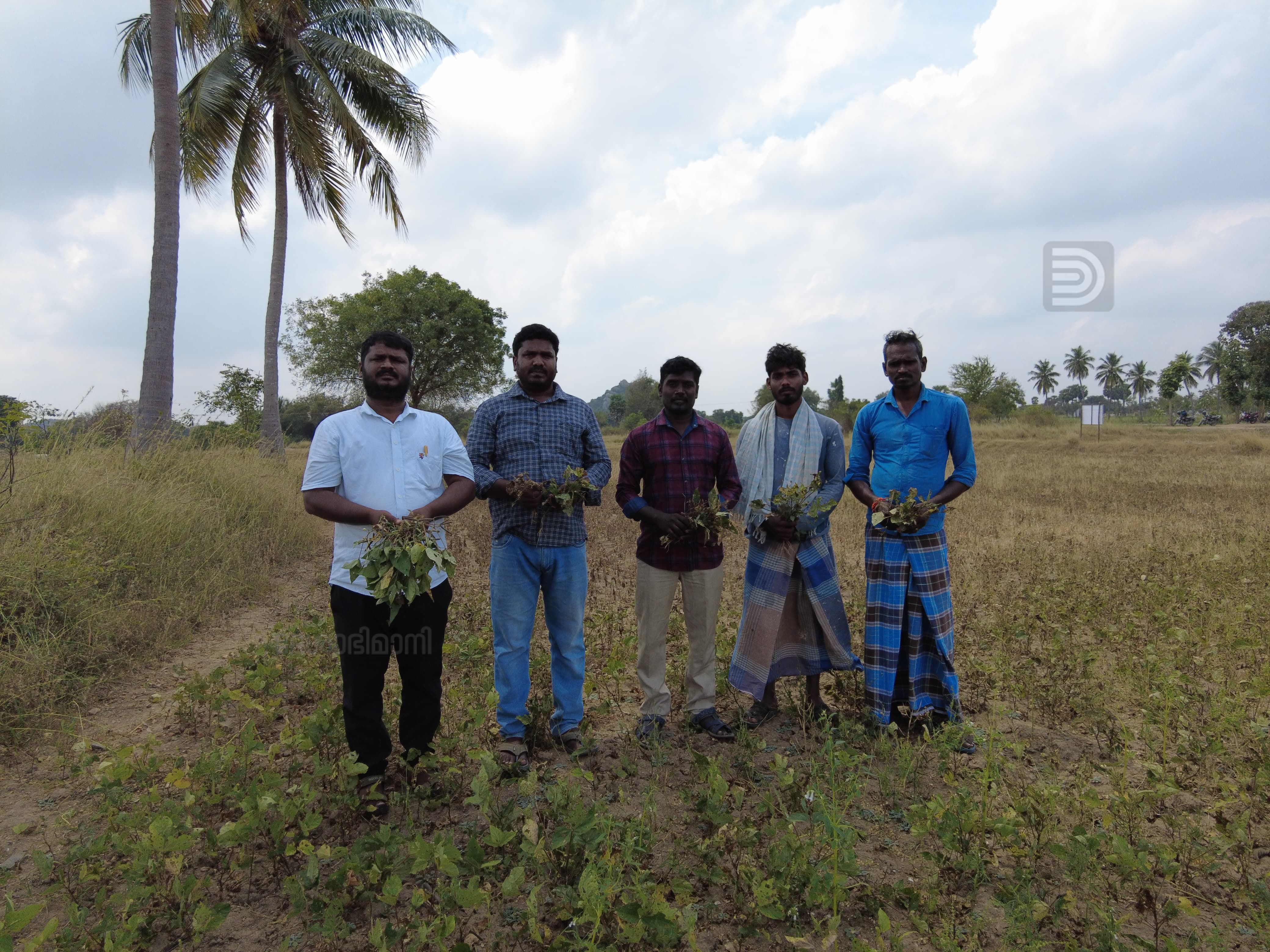 farmers
