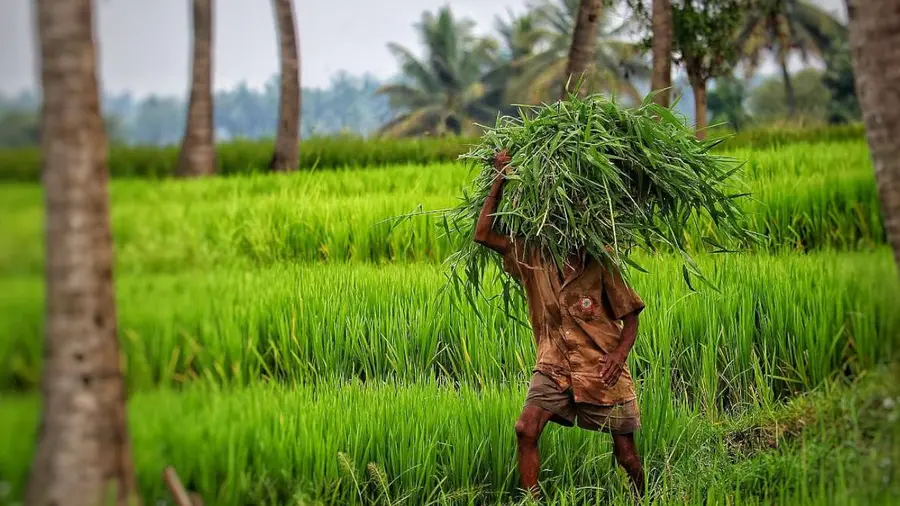 farmers