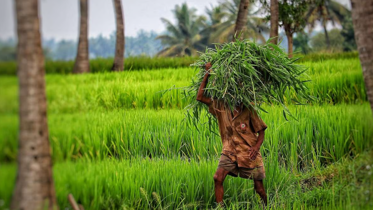 farmers