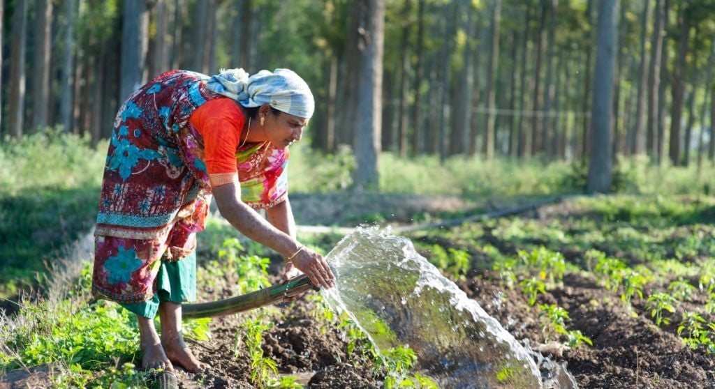 farming