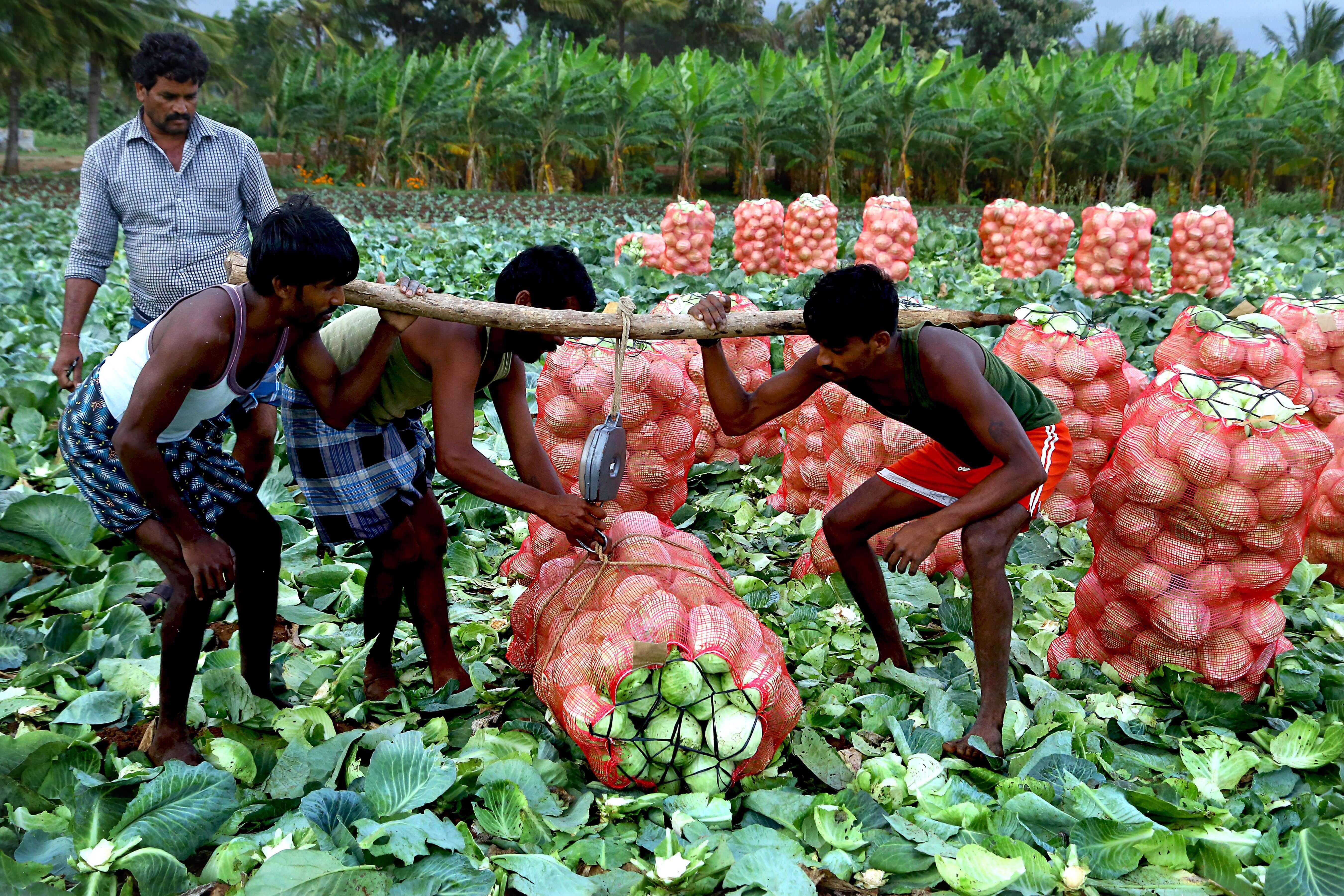 farming kerala