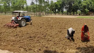 farming punjab