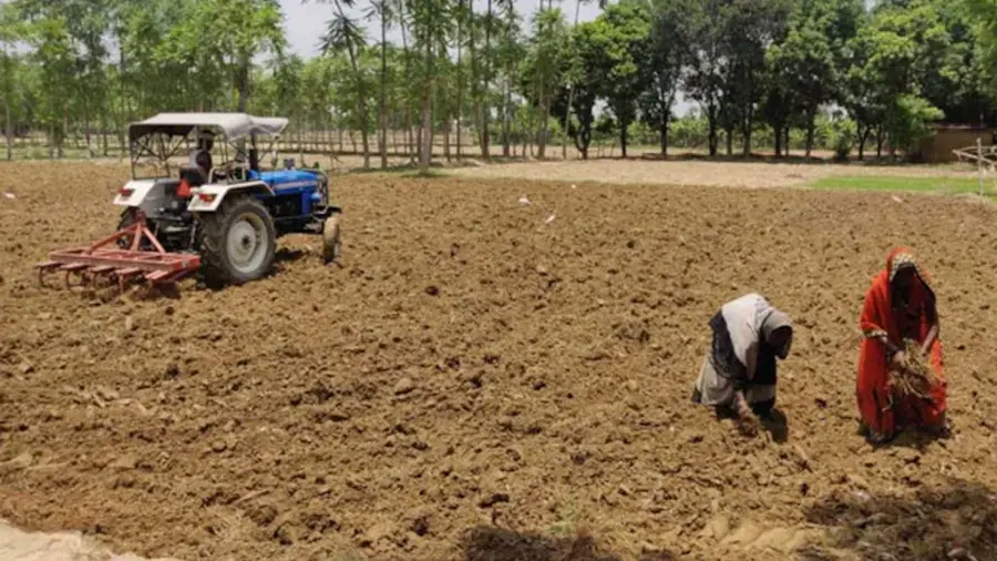 farming punjab
