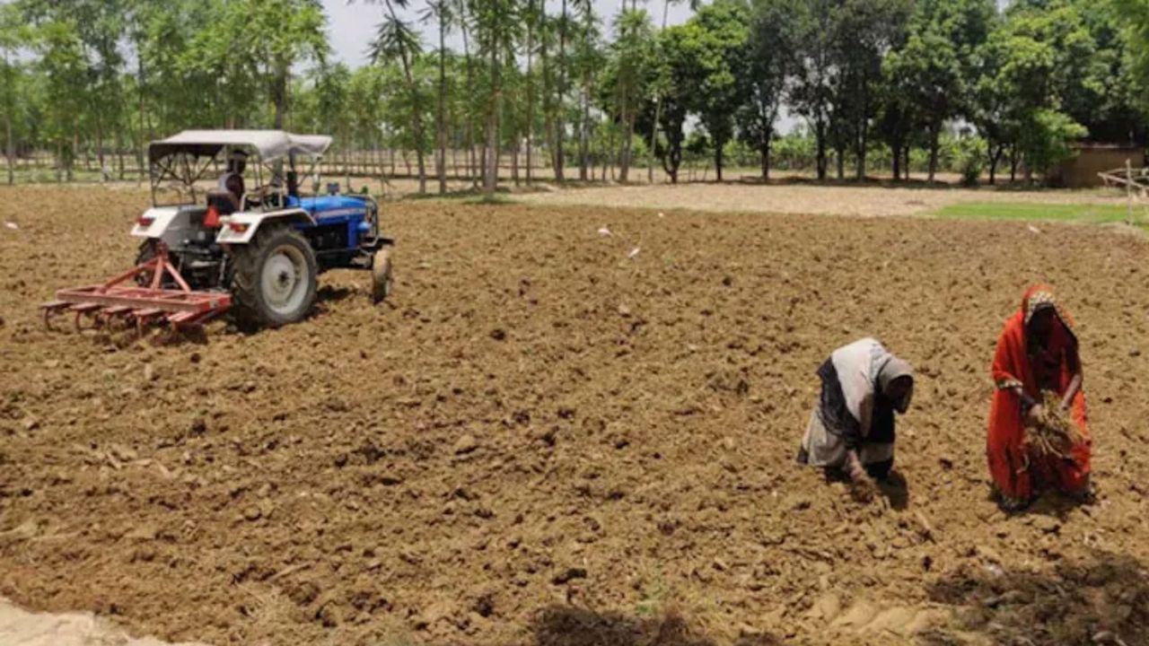 farming punjab