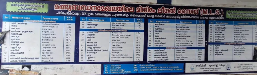 ഹാര്ബറില് പ്രദര്ശിപ്പിച്ച ചെറുമത്സ്യം പിടിക്കുന്നത് നിരോധിച്ച് സർക്കാർ പുറത്തിറക്കിയ നിർദേശം