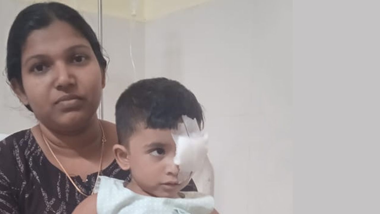 faroq stray dog attack aradhya