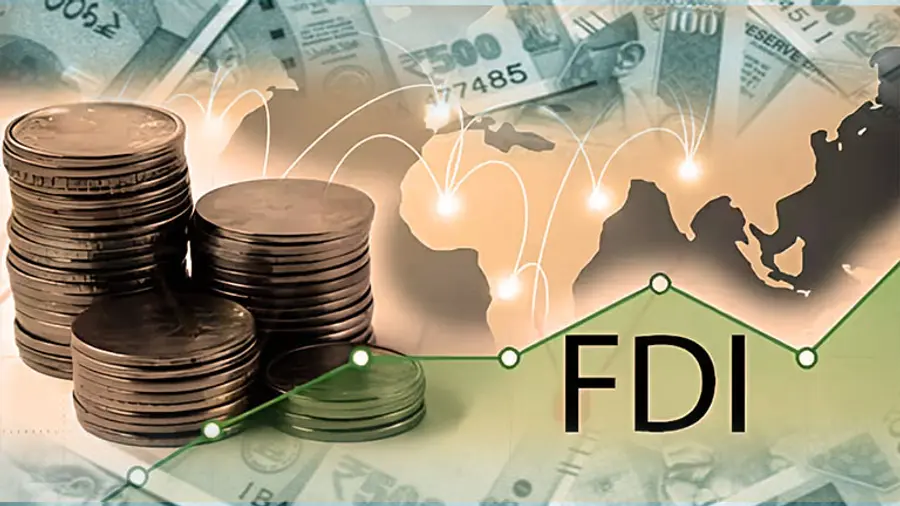 Foreign Direct Investment ( FDI)