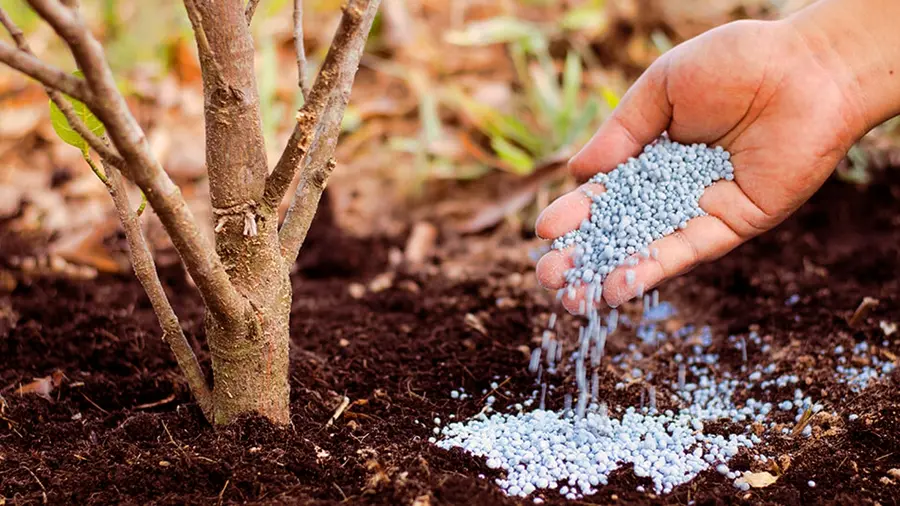 fertilizer
