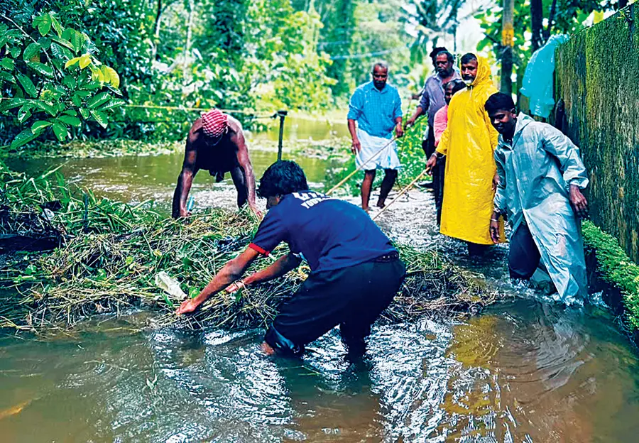 ആലപ്പുഴ